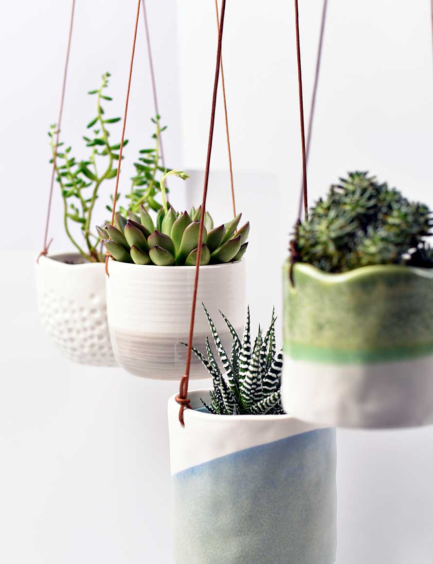 escoge-las-macetas-adecuadas