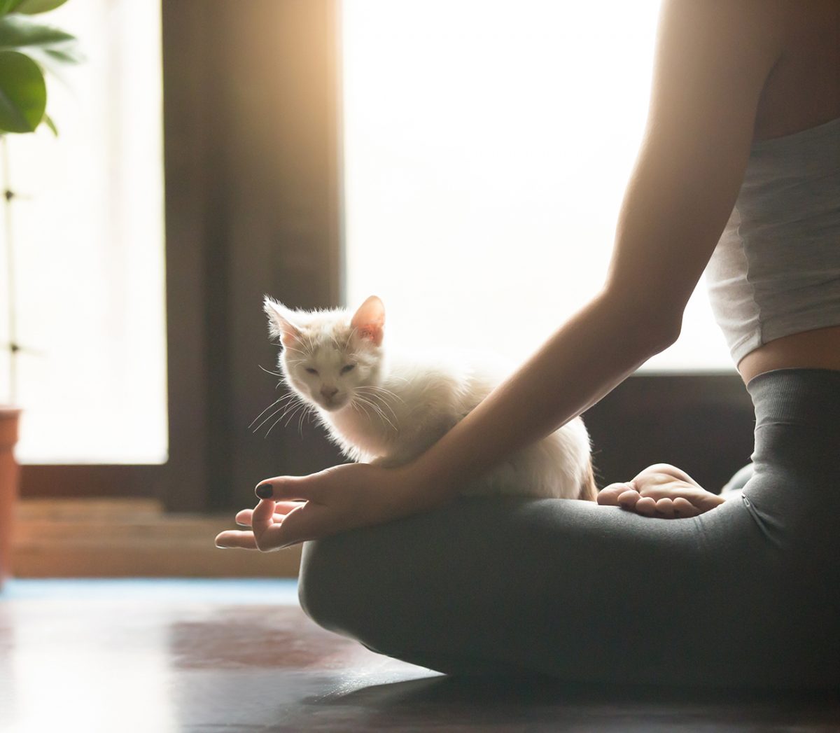 meditacion2