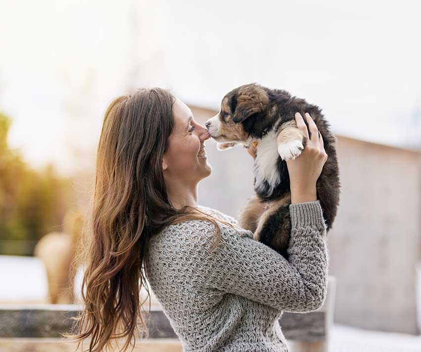 qué-debes-saber-para-adoptar-un-perro