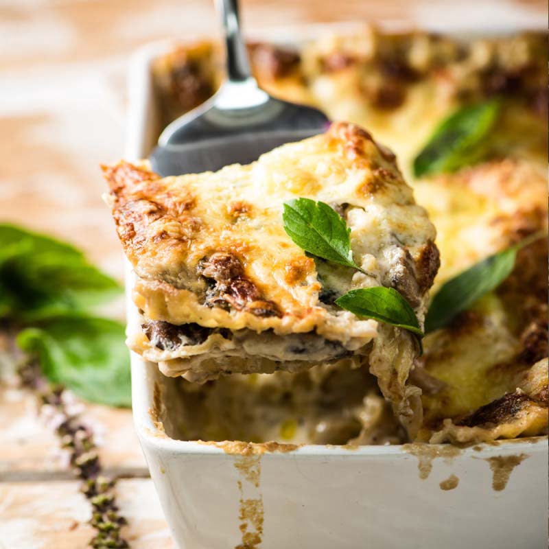 lasagnahongospesto