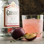 gin-and-plum