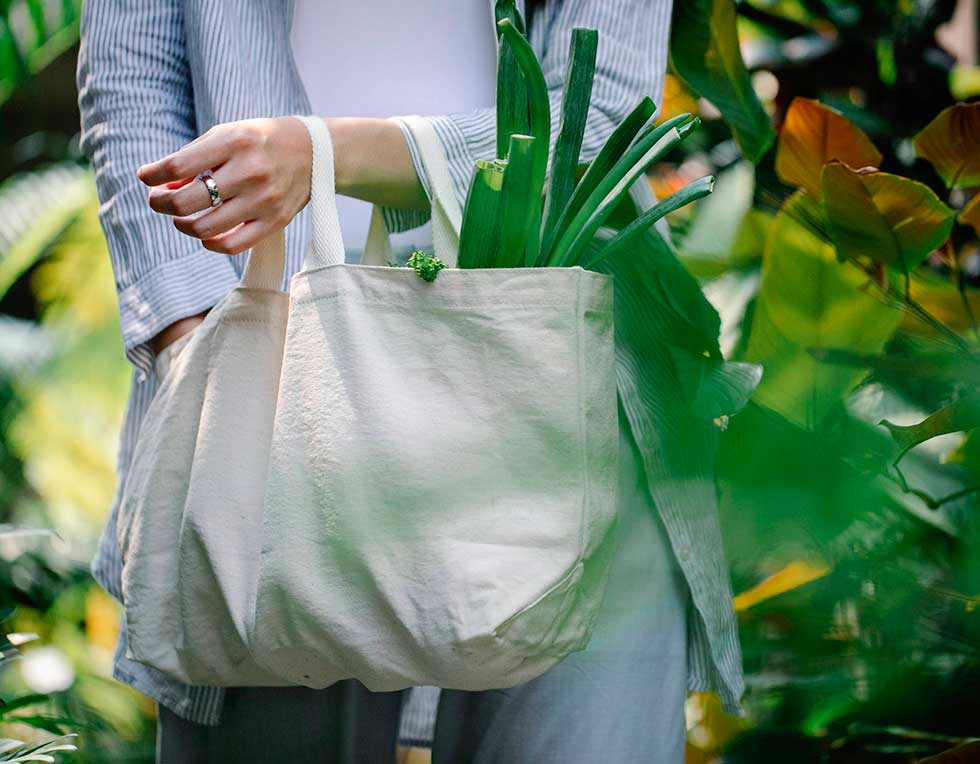 Un-estilo-de-vida-eco-friendly