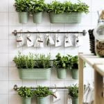 las plantas ideales para decorar la cocina3