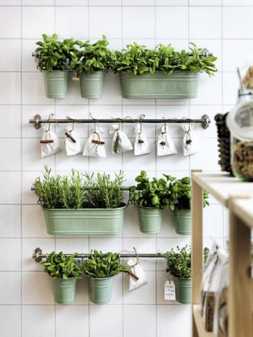 las plantas ideales para decorar la cocina3