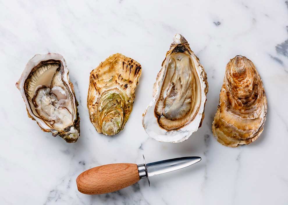 Cómo abrir ostras? » Pescanova