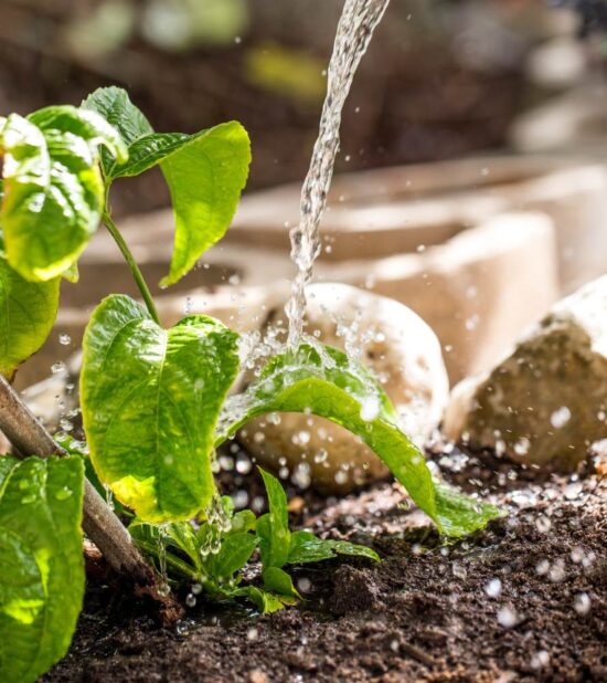 tipos de riego para tu jardin