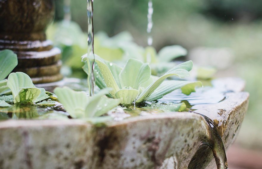 Cómo-hacer-un-jardín-zen-para-meditar