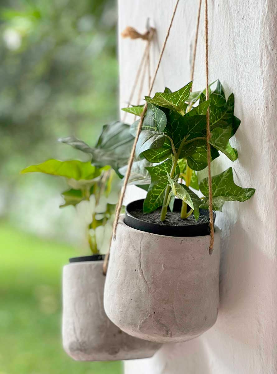 cestas-y-plantas-colgantes