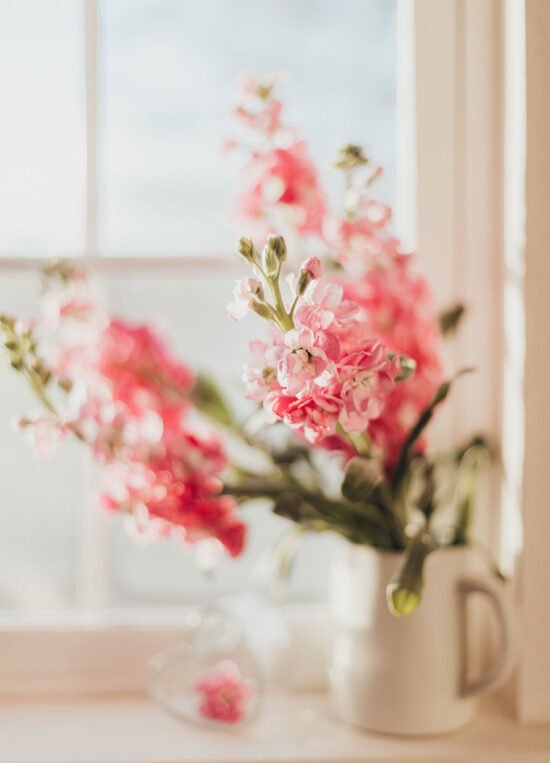 lo-que-las-flores-dicen-de-ti