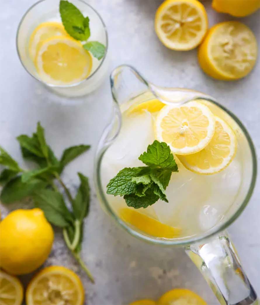 Guía de la limonada 