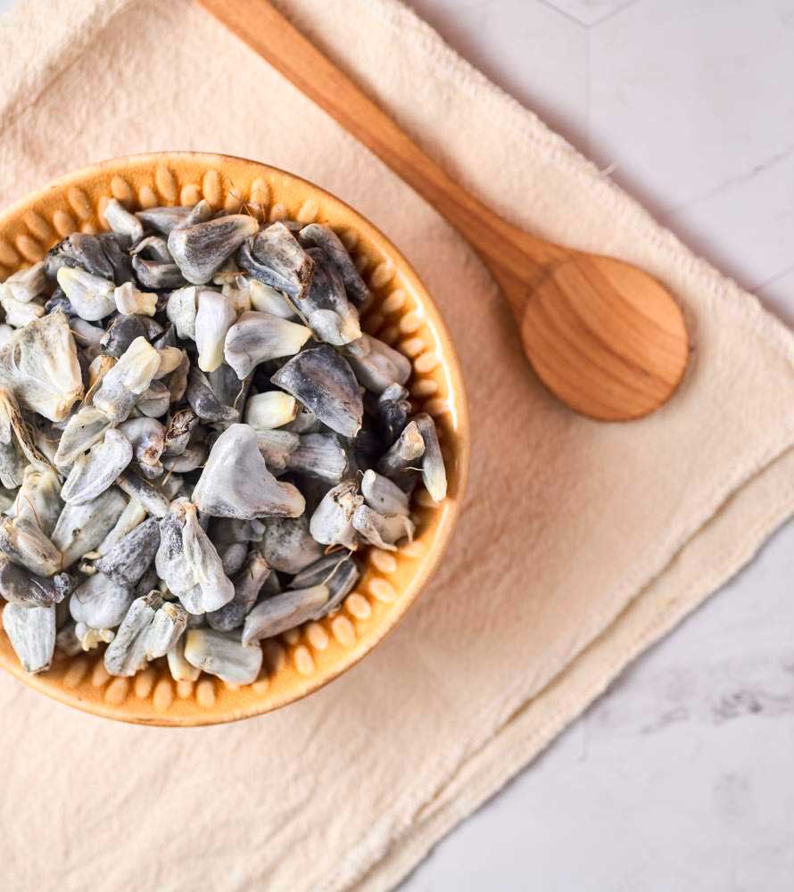 huitlacoche-la-trufa-mexicana