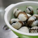 como-limpiar-pescados-y-mariscos