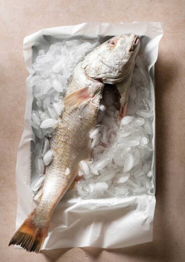 guia-para-saber-si-el-pescado-esta-fresco
