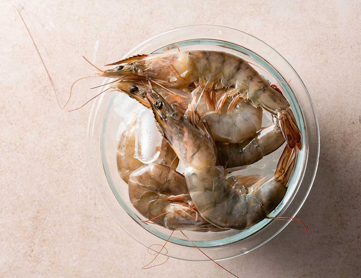 pescados-y-mariscos-conservacion-e-higiene